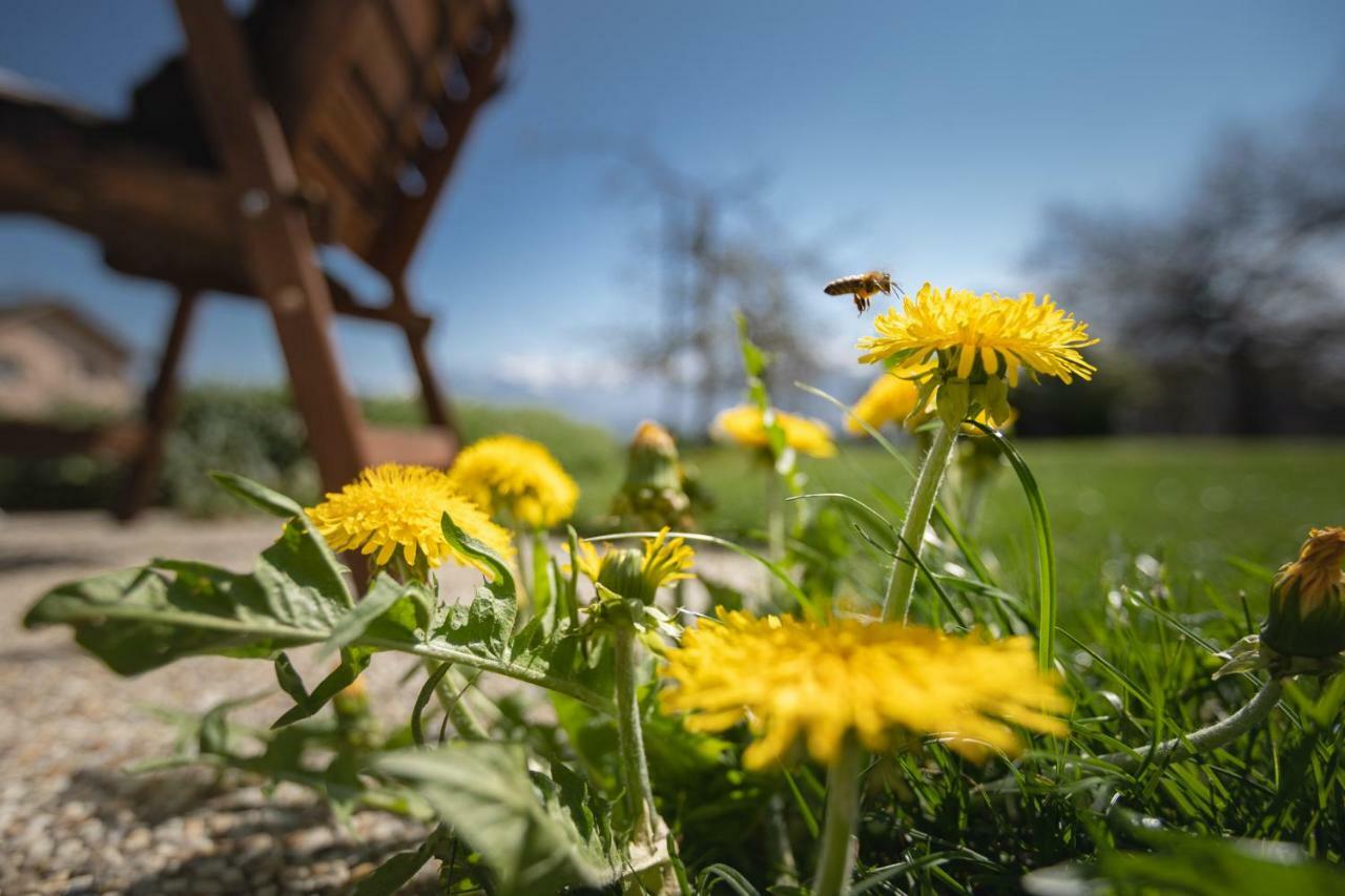 Ferienwohnung Metzler - Blick Auf Die Berge Göfis Exterior foto